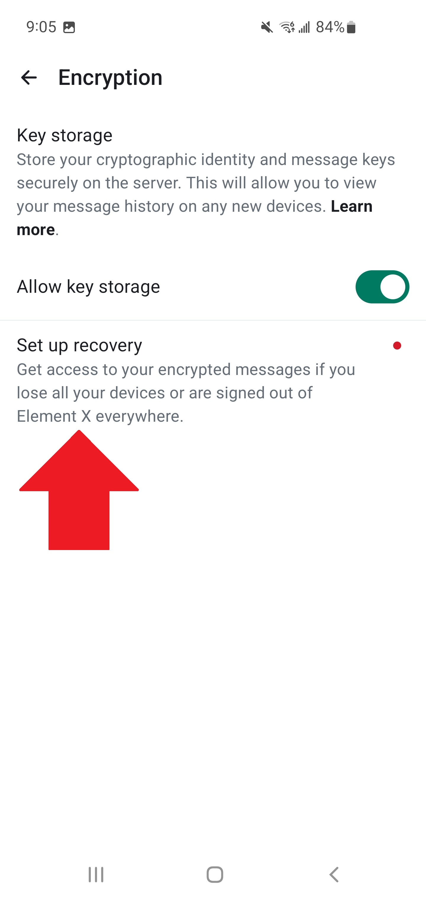 Recovery setup introduction screen